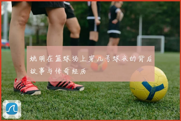 姚明在篮球场上穿几号球衣的背后故事与传奇经历