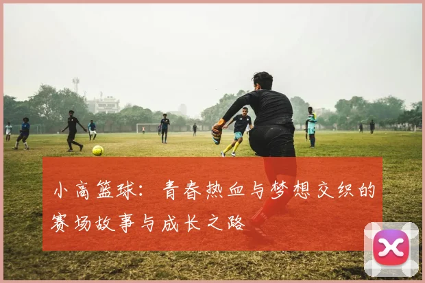 小高篮球：青春热血与梦想交织的赛场故事与成长之路