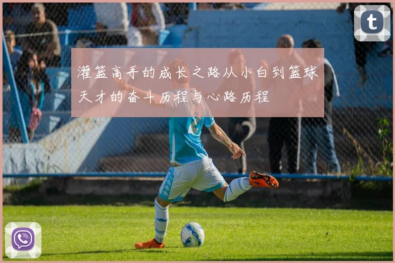 灌篮高手的成长之路从小白到篮球天才的奋斗历程与心路历程