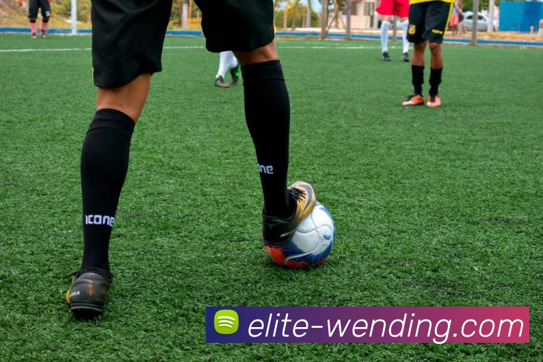 问鼎娱乐平台生态图